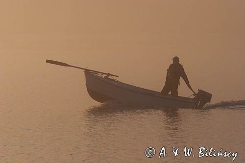 rybak o świcie na rzece Trieux, Bretania, Francja