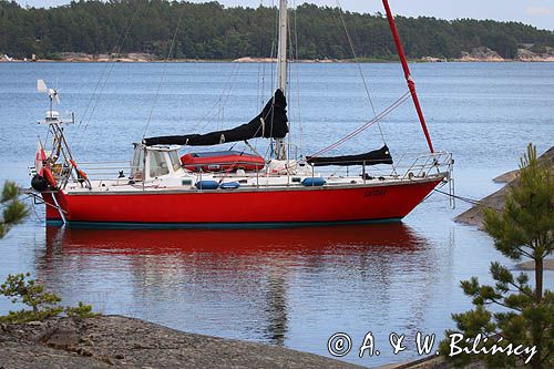 Safran, Trismus 37, Wyspa Iso Kaskinen, Archipelag Turku, Finlandia