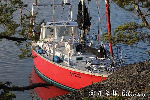 Safran, Trismus 37, Wyspa Iso Vartholma, Archipelag Turku, Finlandia