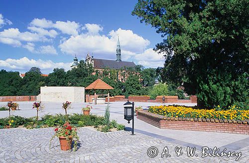 Sandomierz, widok z dziedzińca zamku na katedrę