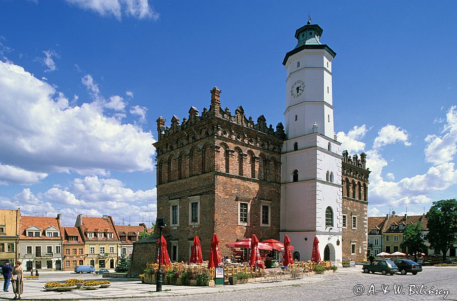 Sandomierz ratusz i rynek