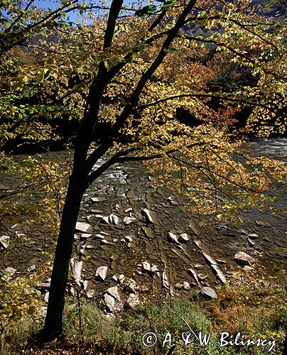 rzeka San, Park Krajobrazowy Doliny Sanu, Bieszczady