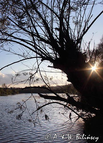 nad rzeką San koło wsi Jabłonica, Pogórze Dynowskie