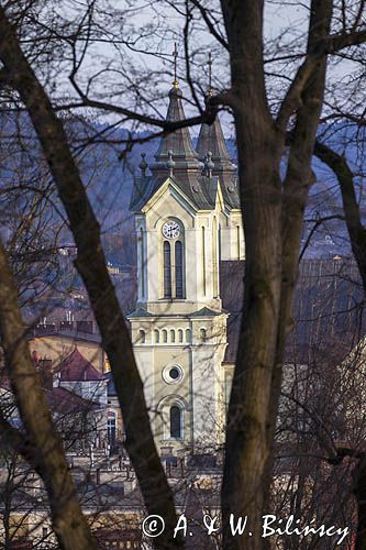 Sanok, Kościół Przemienienia Pańskiego, Fara