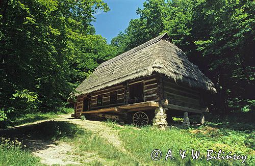 Sanok Skansen Chata Bojkowska