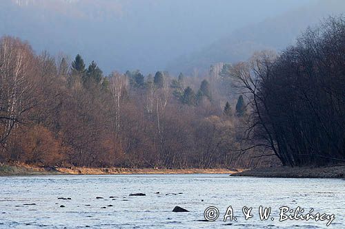 nad Sanemt, Bieszczady