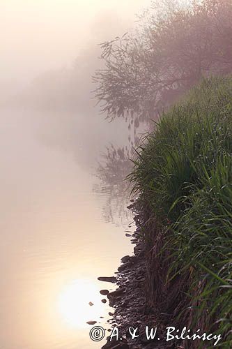 świt nad Sanem koło Temeszowa, Pogórze Dynowskie