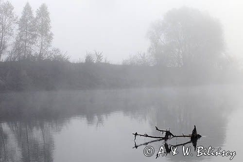 świt nad Sanem koło Temeszowa, Pogórze Dynowskie