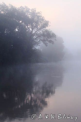 świt nad Sanem koło Temeszowa, Pogórze Dynowskie