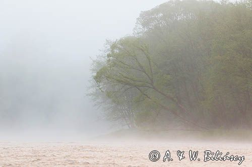 Rzeka San, mgły poranne, Bieszczady