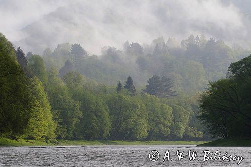 Rzeka San, mgły poranne, Bieszczady