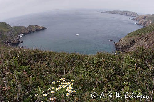 zatoka La Grande Greve na wyspie Sark przy Liitle Sark, Channel Islands, Anglia, Wyspy Normandzkie, Kanał La Manche