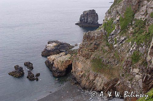 wybrzeże wyspy Sark, Channel Islands, Anglia, Wyspy Normandzkie, Kanał La Manche