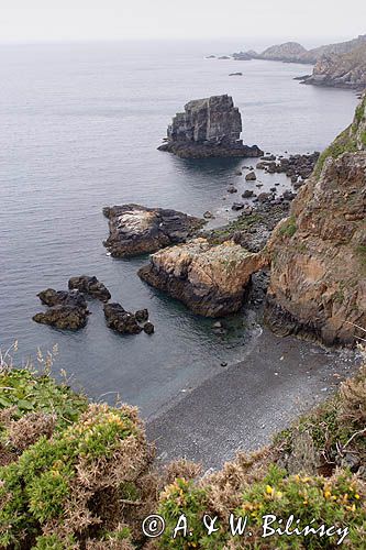 wybrzeże wyspy Sark, Channel Islands, Anglia, Wyspy Normandzkie, Kanał La Manche