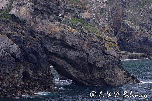 wybrzeże wyspy Sark, Channel Islands, Anglia, Wyspy Normandzkie, Kanał La Manche
