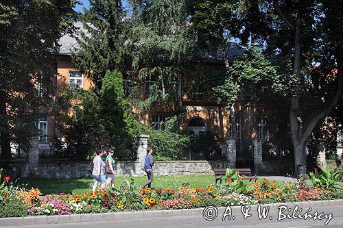 Sarospatak, w centrum, Węgry
