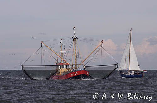 krewetkowiec i jacht s/y Griend koło wyspy Schiermonnikoog, Wyspy Fryzyjskie, Waddenzee, Holandia, Morze Wattowe