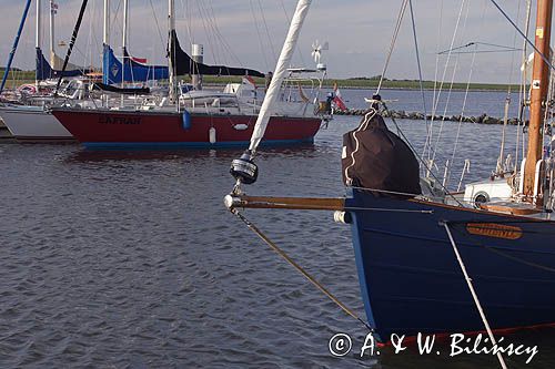 w porcie jachtowym na wyspie Schiermonnikoog, Wyspy Fryzyjskie, Waddenzee, Holandia, Morze Wattowe