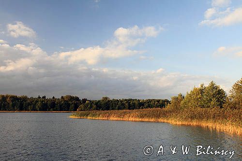 Schwedtsee, Obere Havel Wasser Strasse, Brandenburgia, Niemcy