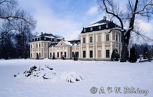 Sieniawa pałac