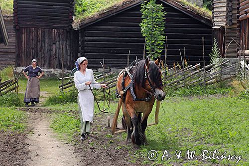 Norweskie Muzeum Ludowe, Skansen, Norsk Folkemuseum, Oslo, Południowa Norwegia