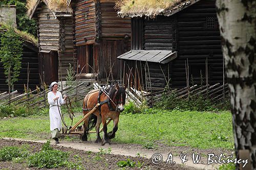 Norweskie Muzeum Ludowe, Skansen, Norsk Folkemuseum, Oslo, Południowa Norwegia