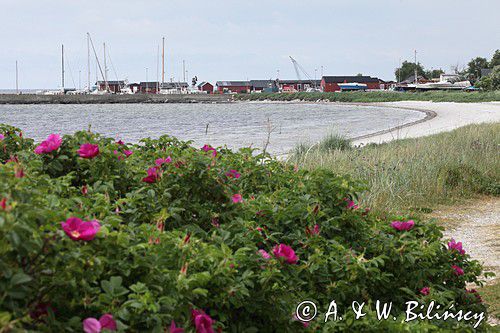 Skare, port i wybrzeże, Szwecja Południowa, Skania, Bałtyk