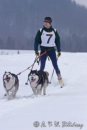 skijoring, wyścigi psich zaprzęgów, Kager Cup, W krainie wilka, Lutowiska, Bieszczady