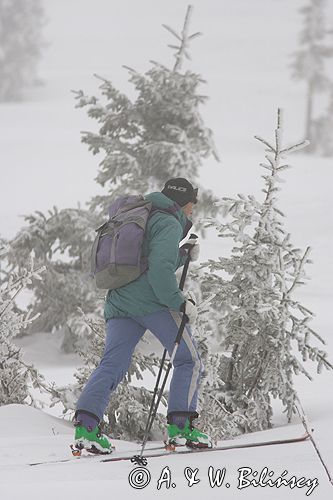 zima, skitouring w Tatrach, Tatrzański Park Narodowy Murań, widok z Murzasichla