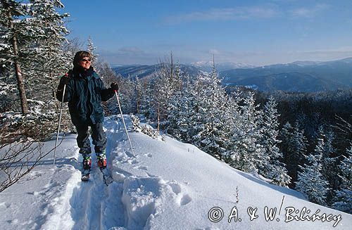 skitouring w Bieszczadach, Dwernik-Kamień