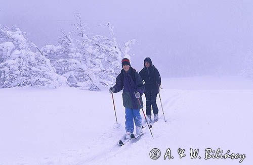 skitouring