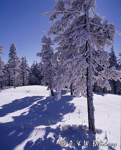Beskid Śląski, Skrzyczne