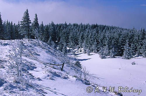Skrzyczne