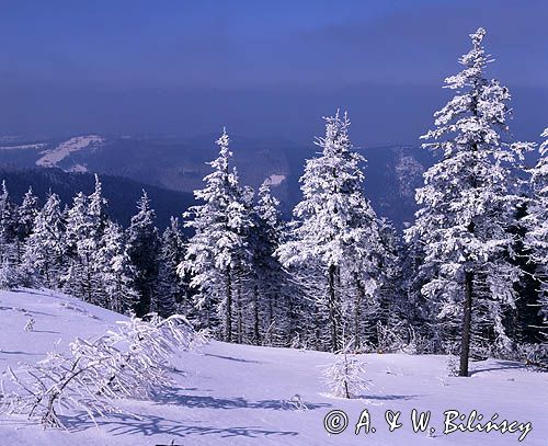 na Skrzycznem Beskid Śląski