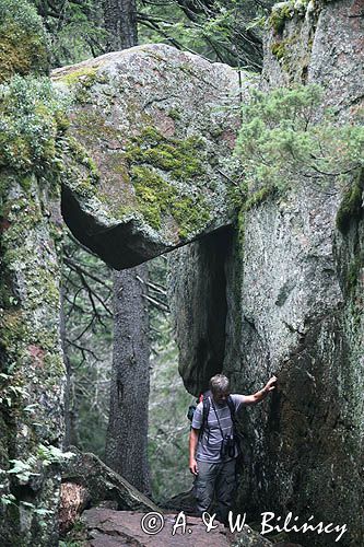 park narodowy Skuleskogen, Hoga Kusten, Wysokie Wybrzeże, Szwecja, Zatoka Botnicka