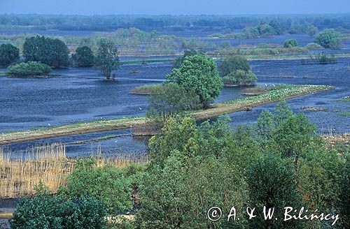 rezerwat Słońsk, Park Narodowy Ujście Warty