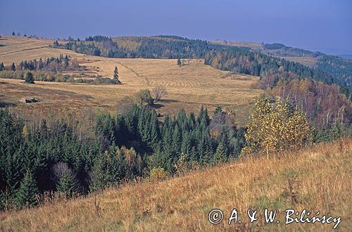 Śnieżnicki Park Krajobrazowy, widok z przełęczy Puchaczówka