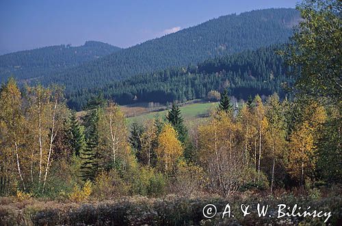 Śnieżnicki Park Krajobrazowy, widok z przełęczy Puchaczówka