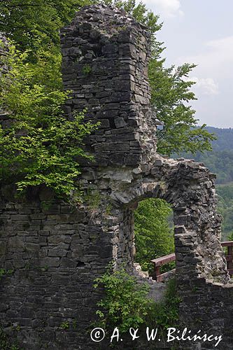 ruiny zamku Sobień, rezerwat Góra Sobień, Bieszczady
