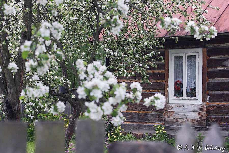 chata we wsi Sól koło Biłgoraja