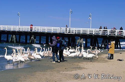 Sopot przy Molo