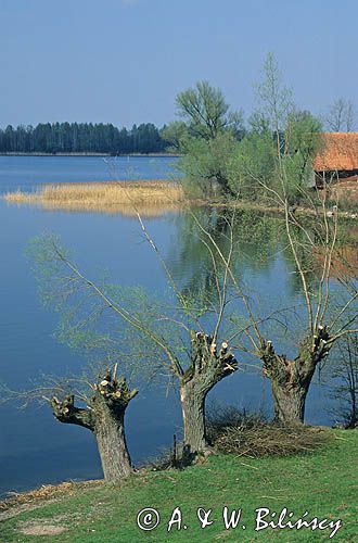 Sordachy i jez. Selmęt Wielki, poj. Ełckie