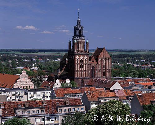 Stargard Szczeciński, kościół Mariacki, kolegiata NMP