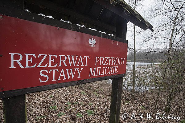 Rezerwat przyrody Stawy Milickie, tablica