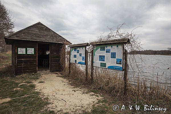 Rezerwat przyrody Stawy Milickie, Czatownia Niezgoda, staw Niezgoda