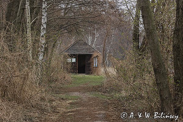 Stawy Milickie, staw Niezgoda, czatownia Niezgoda