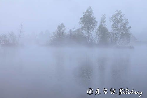 Temeszów, świt nad stawami nad Sanem, Pogórze Dynowskie