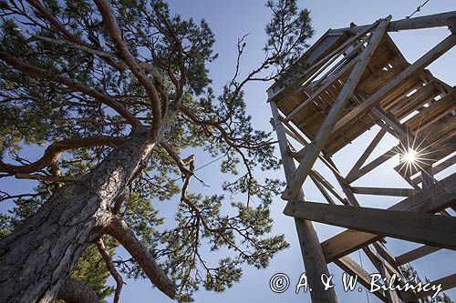 Stenskar, Archipelag Turku, Finlandia, wieża widokowa