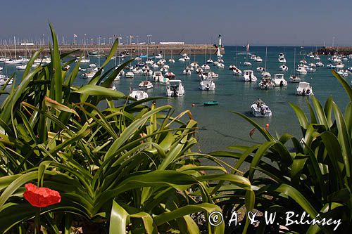 port jachtowy w St Quay Portrieux, wybrzeże Cotes d'Armor, Bretania, Francja,port pływowy wysychający