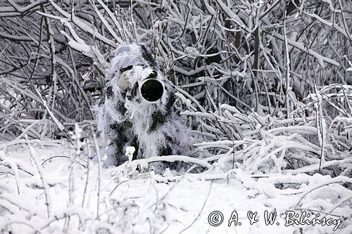 zimowy strój maskujący fotografa przyrody